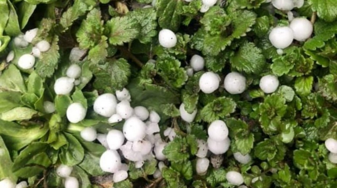 Qaxa güclü dolu yağıb   - FOTO