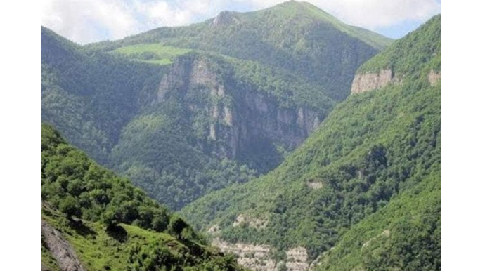 Антропогенные воздействия привели к полному уничтожению некоторых редких растений в Карабахе