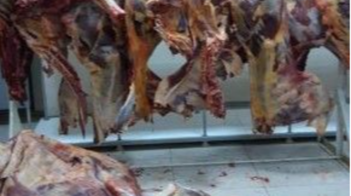 Bakıda külli miqdarda mənşəyi məlum olmayan ət aşkarlandı