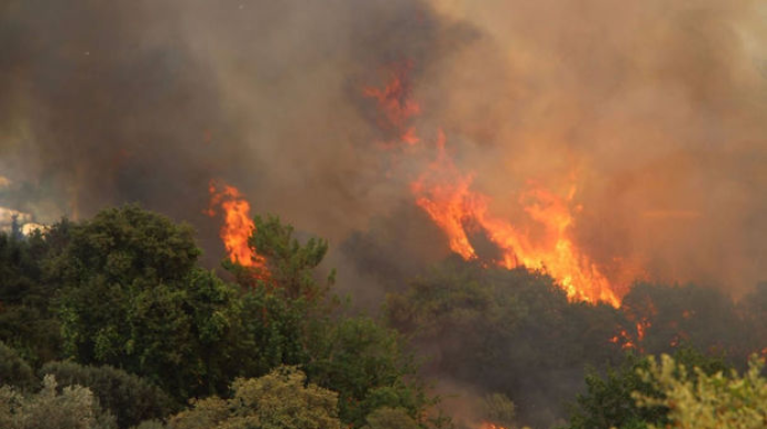Ermənilər indiyə qədər 1815 hektarlıq meşə sahəmizi məhv edib - FOTO 