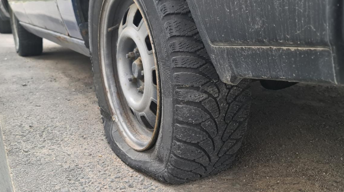 Ciplərə qənim kəsilən ekofəallar