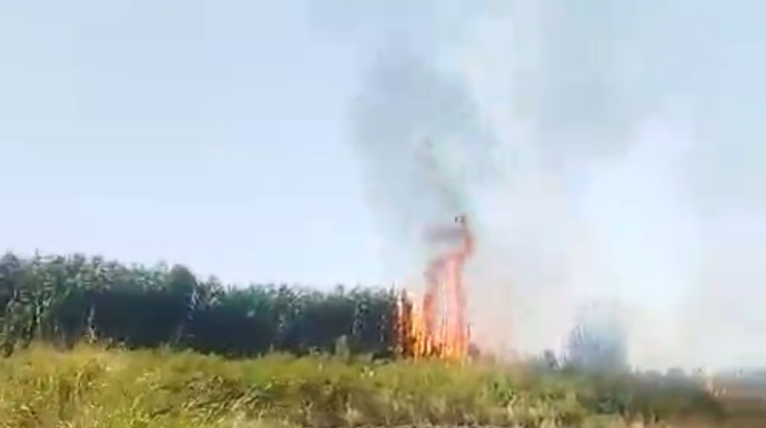 Sabirabadda yanğın törədən şəxs məsuliyyətə cəlb edildi - FOTO