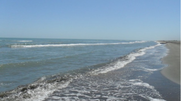 Xəzər dənizindən qum-çınqıl oğurlayanlar - Saxlanıldılar 