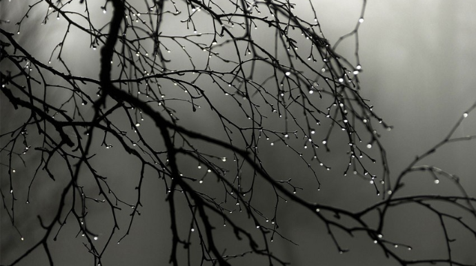 В ряде районов Азербайджана ожидается дождливая погода 