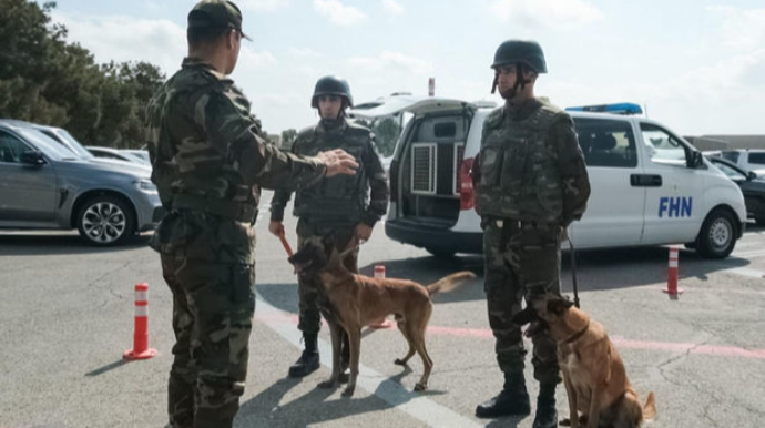 FHN və Heydər Əliyev Beynəlxalq Aeroportu birgə təlim keçiriblər  - FOTO - VİDEO