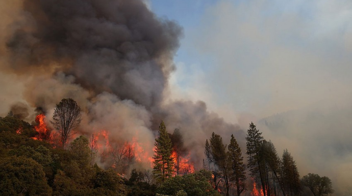 Ukrayna meşə yanğınlarına görə Türkiyəyə təyyarə göndərəcək