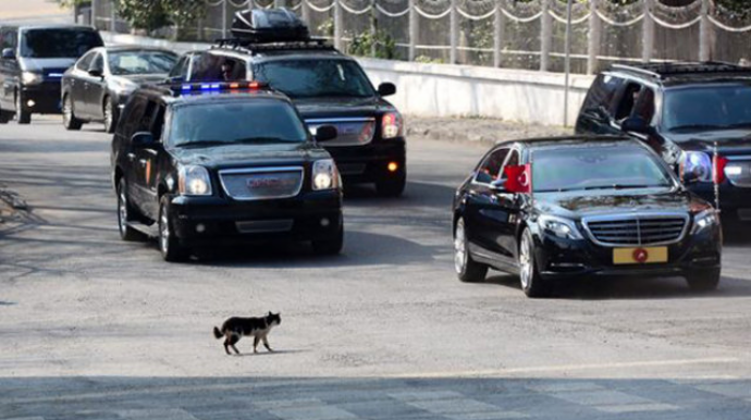 Prezident bu körpəyə görə kortejini dayandırdı - VİDEO 