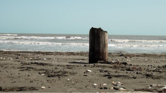 Alimlər Xəzər dənizinin dayazlaşmasının səbəbini tapdı