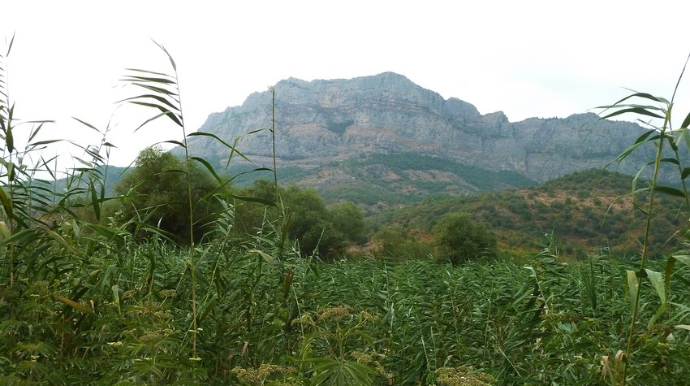 Qisas qiyamətə qalmadı - Zəngilanlılar danışır  - VİDEO