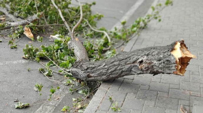 Bakı küçəsində külək olayı  - FOTO