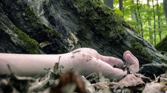 Astarada meşədə adam öldürməyə cəhd edən gənc həbs edildi