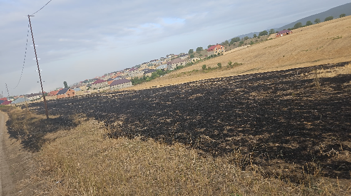 Qubada əkin sahəsinin yandırılmasına görə bir nəfər saxlanıldı