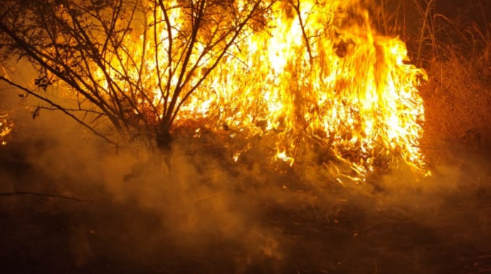 Вспыхнувший в горной местности в Агсу пожар подступает к лесу  - ФОТО