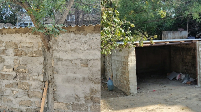 Nizamidə tikinti zamanı anormal hadisə; ağacı divara hördülər - FOTO 