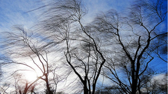 Qəzada yaralanan gənc futbolçu öldü 