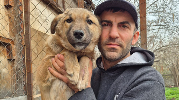 Sığınacaq dağılsa, 400 itin taleyi necə olacaq? - Rəsmi açıqlama 