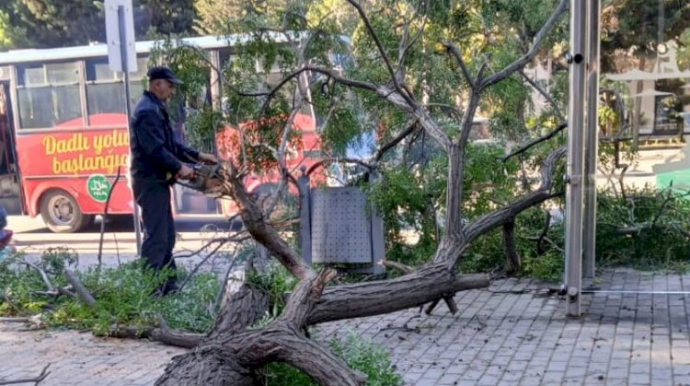 Mingəçevirdə güclü külək bir sıra fəsadlar yaratdı - FOTOLAR 