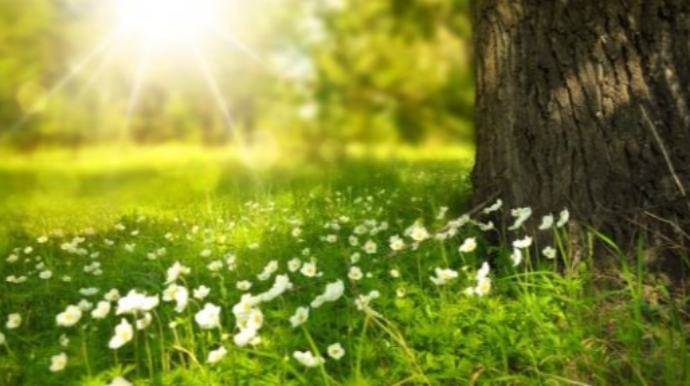 Sabah hava necə olacaq? - PROQNOZ 