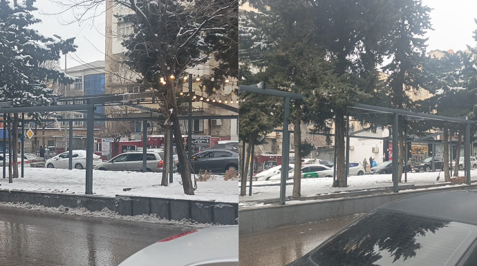 Metronun yanında yaşıllığı məhv edib obyekt tikirlər - VİDEO