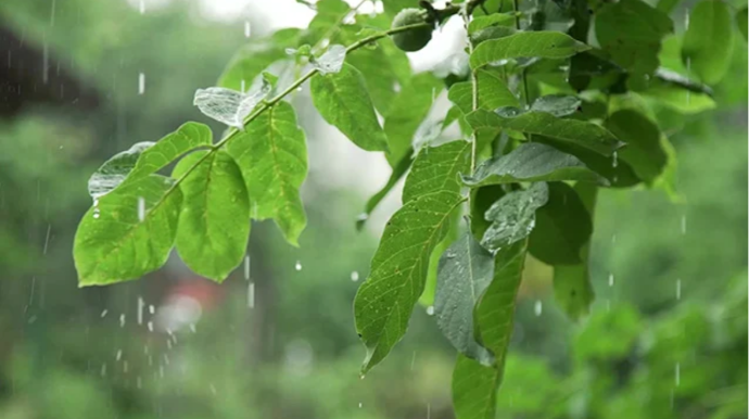 На Шахдаге снег, в Газахе град - ФАКТИЧЕСКАЯ ПОГОДА 