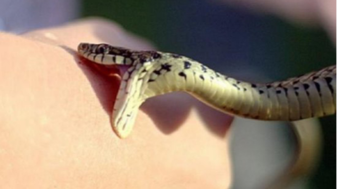 Ağdamda 14 yaşlı oğlanı ilan sancıb