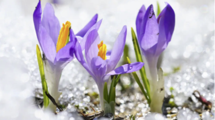 Прогноз погоды в Азербайджане на 6 марта 