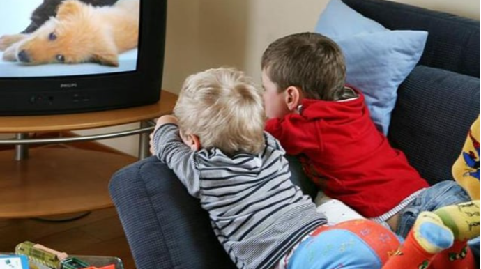 İcra Hakimiyyəti bu ada “yox” demişdi, məhkəmə icazə verdi