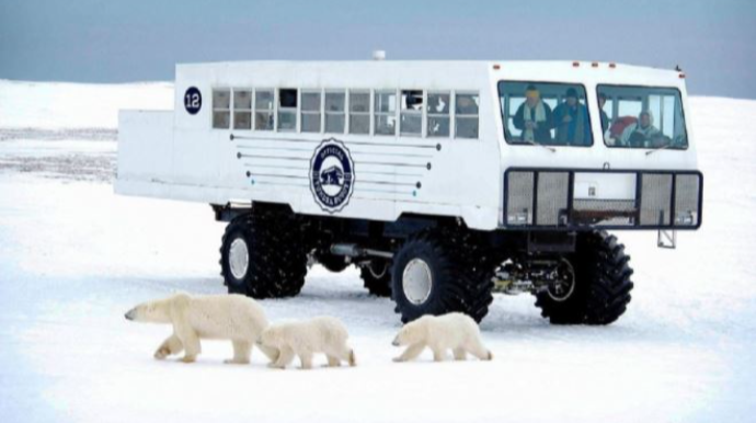 Для поездок к медведям: автобус-вездеход Tundra Buggy   - ВИДЕО