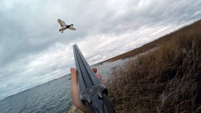 Qanunsuz ov edən şəxslər 4125 manat cərimələniblər