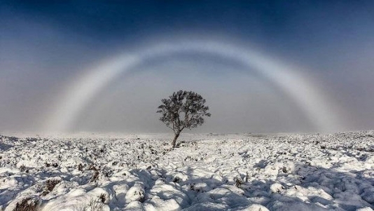 Nadir təbiət hadisəsi: ağ göyqurşağı - FOTO