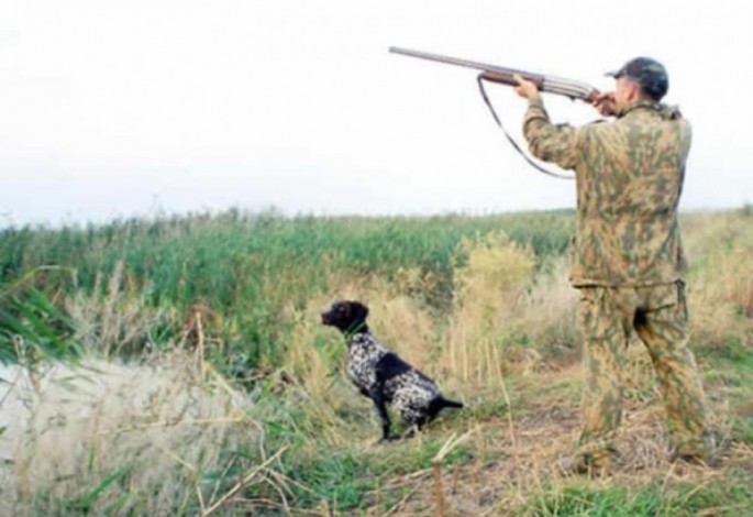 Əcnəbi brakonyerlər 5980 manat cərimələndi