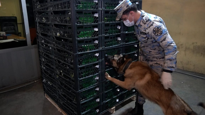 Astara Gömrük İdarəsində külli miqdarda narkotik vasitə aşkarlandı - FOTO 