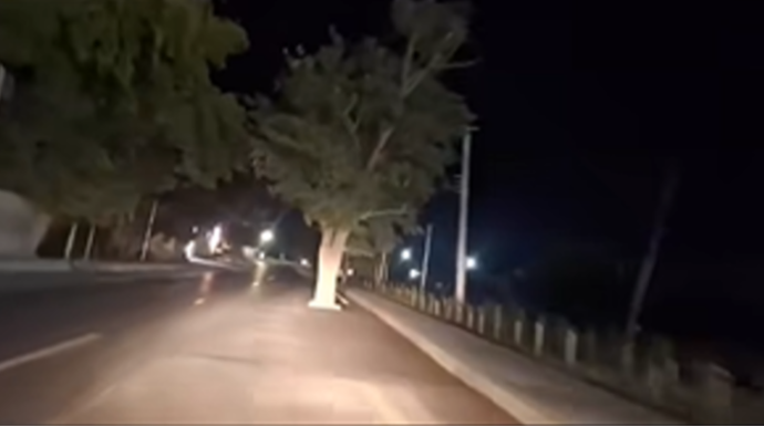 Xudatda avtomobil yolunun ortasında ağaclar niyə saxlanılıb? – Qəzalar qaçılmazdır  - VİDEO