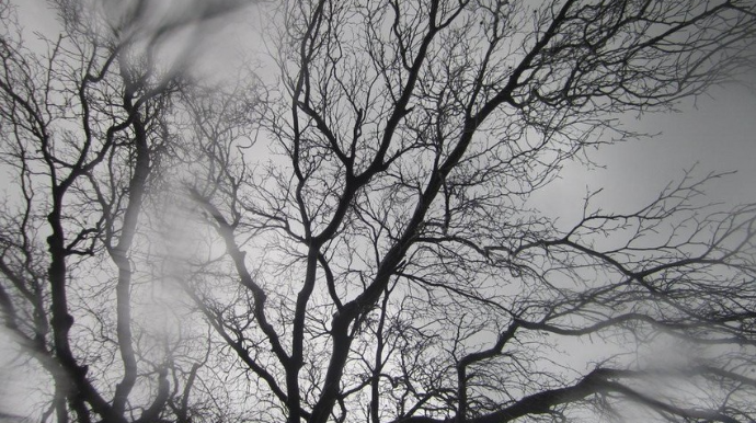 Sabahın hava proqnozu açıqlanıb 