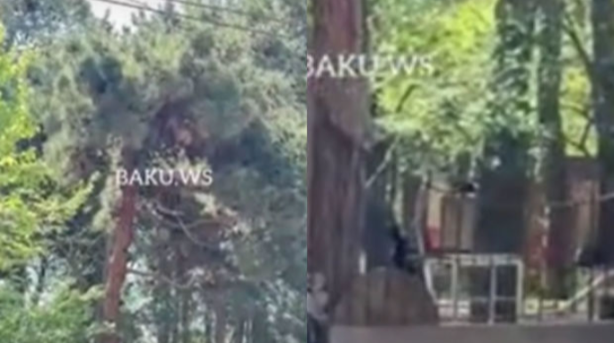 Bakıda məktəbin yaxınlığında BÖYÜK TƏHLÜKƏ - VİDEO 