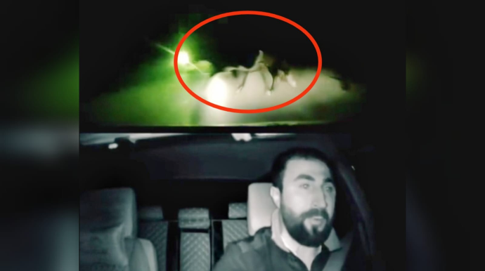 Ksenona görə gözü qamaşan sürücü yola çıxan inəyi vurdu - ANBAAN VİDEO 