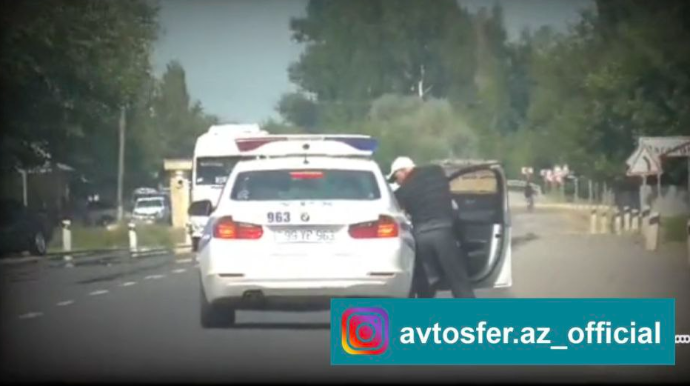 Soqolsiz mushuk tik turgan it uslubining fotosurati