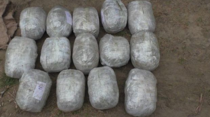 В Ярдымлинском районе обнаружено 14 кг марихуаны 