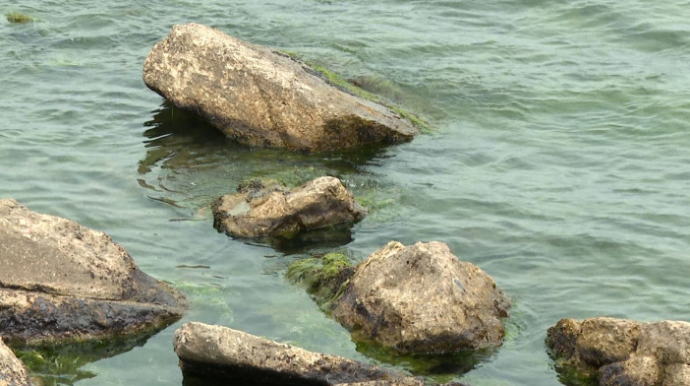 Bulvarda kəskin qoxunun yayılması nə ilə bağlıdır? - İDDİALARA CAVAB - VİDEO 