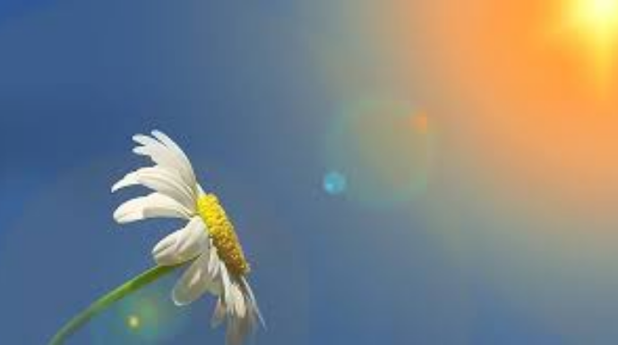 Sabah Azərbaycanda 29 dərəcə isti olacaq