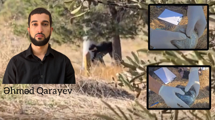 Hacıqabulda narkokuryerlik edən şəxs saxlanıldı - FOTO