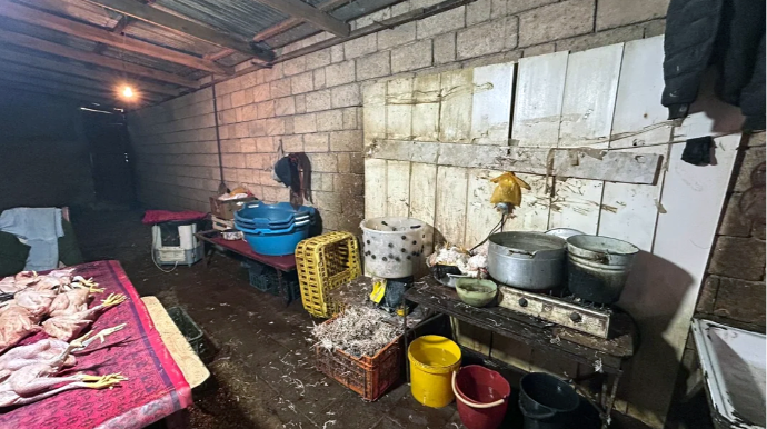 Bu toyuq kəsimi sexinin fəaliyyəti dayandırırldı – Gigiyenik tələblərə ... - VİDEO