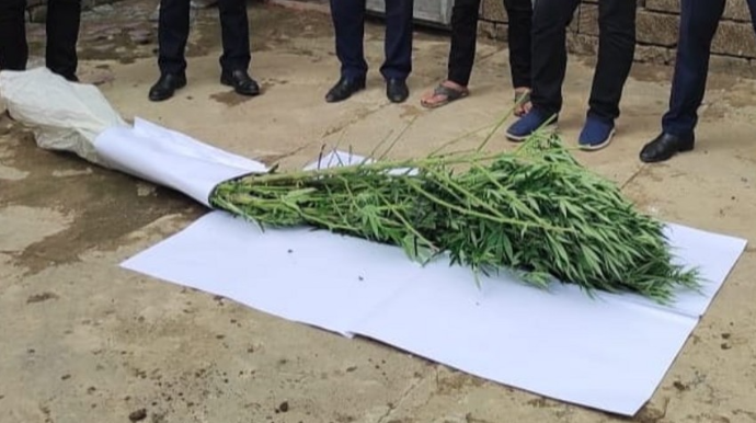 Masallı sakini 9 kq narkotiklə saxlanılıb  - FOTO