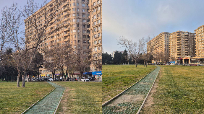 İnsanların yaşıllıqlarda açdıqları cığırları təhlükəsiz səkiyə çevirmək mümkündür - FOTO 