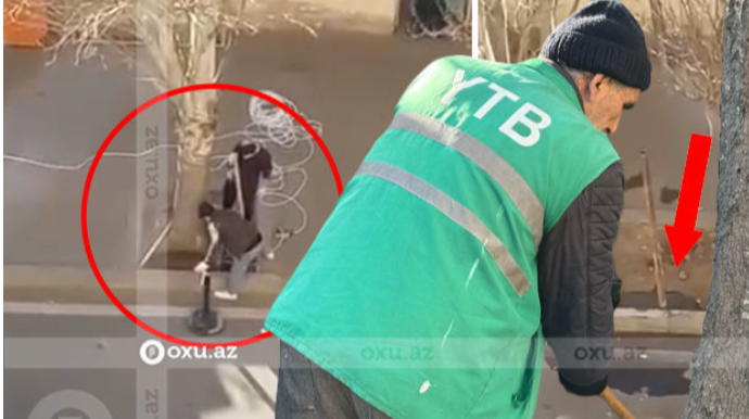 Bakıda ağacların dibini asfaltlayıb, yerində bina tikmək istədilər   - VİDEO - FOTO