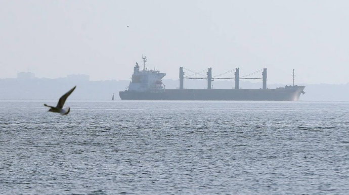 Ukraynadan ərzaq daşıyan daha 12 gəmi yola düşüb