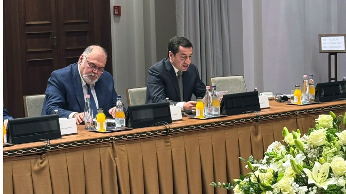 Hikmət Hacıyev TDT ölkələri rəhbərlərinin köməkçilərinin görüşündə iştirak edib - FOTO 