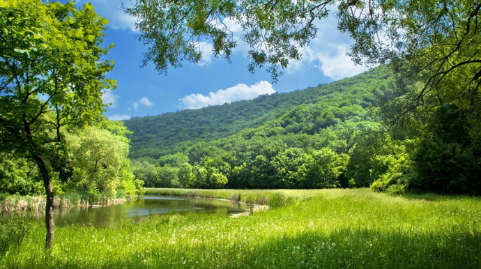 Sabah Bakıda 40, rayonlarda 42 dərəcə isti olacaq