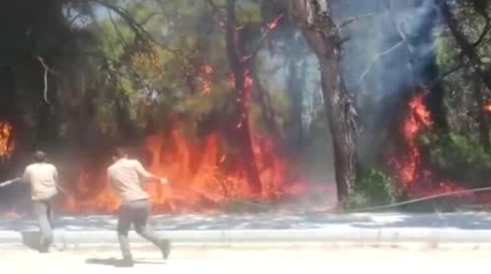 Avtomobildən atılan siqaret kötüyü 300 kvadratmetrlik ərazini külə döndərdi - VİDEO