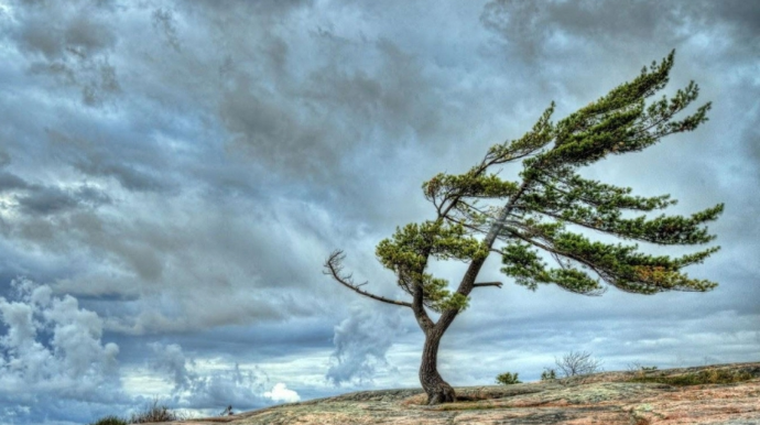 Küləkli hava şəraiti ilə bağlı XƏBƏRDARLIQ 